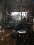 乐鱼体育全站官网:永不卸载拼夕夕买的玩具太牛了！